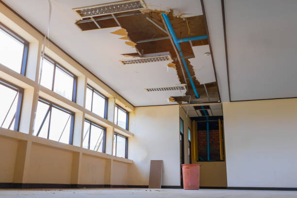 Best Flood damage cleanup  in Sully Square, VA