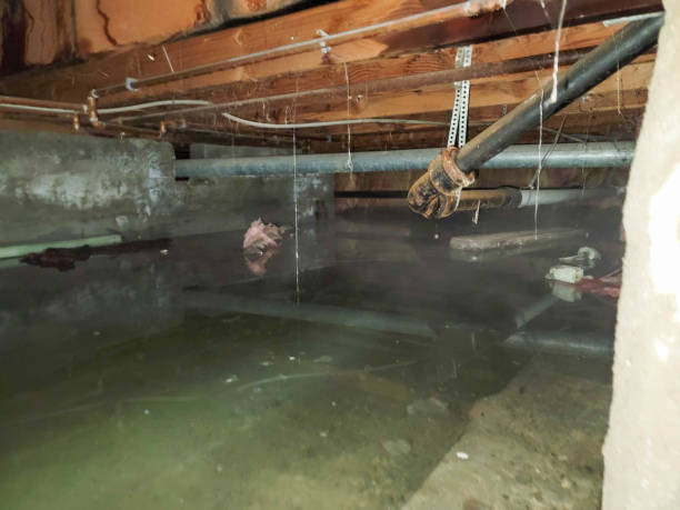 Best Water damage contractors near me  in Sully Square, VA
