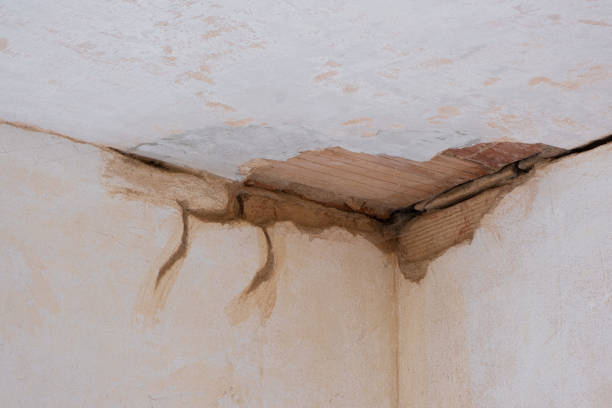 Best Carpet water damage restoration  in Sully Square, VA