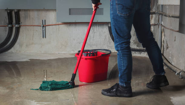 Best Basement water damage restoration  in Sully Square, VA