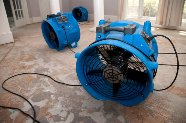 Best Basement water damage restoration  in Sully Square, VA