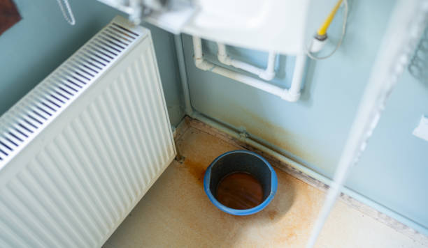 Best Professional water damage repair  in Sully Square, VA