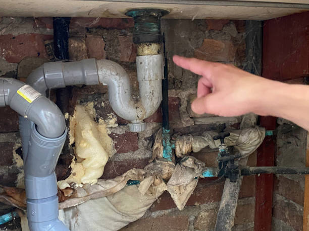 Best Residential water damage restoration  in Sully Square, VA